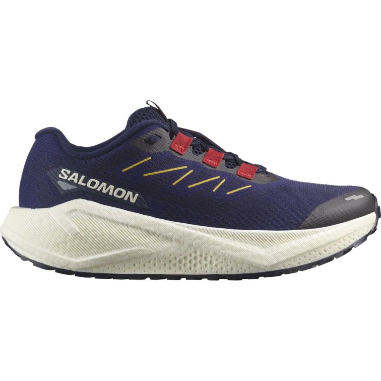 Кросівки Salomon Aero Blaze 3 Grvl W - синьо/червоні