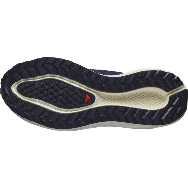 Кросівки Salomon Aero Blaze 3 Grvl W - синьо/червоні