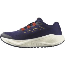Кросівки Salomon Aero Blaze 3 Grvl W - синьо/червоні