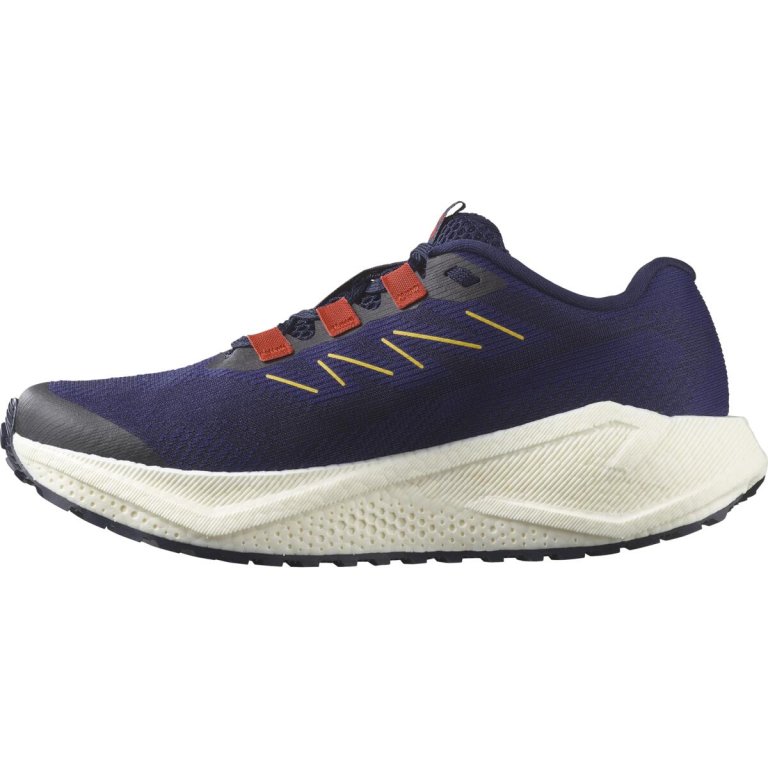 Кросівки Salomon Aero Blaze 3 Grvl W - синьо/червоні