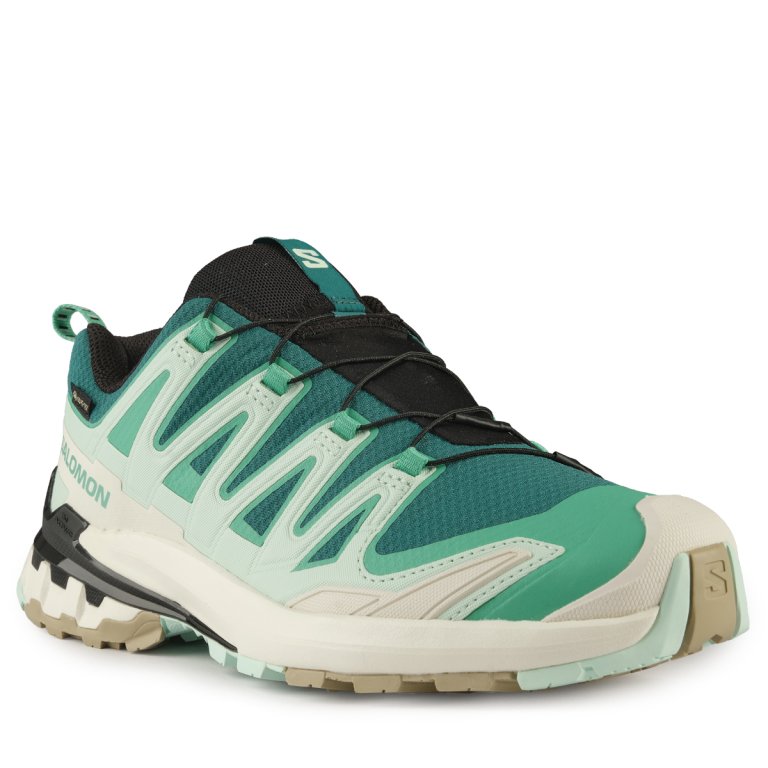 Взуття Salomon XA PRO 3D V9 GTX W - синій