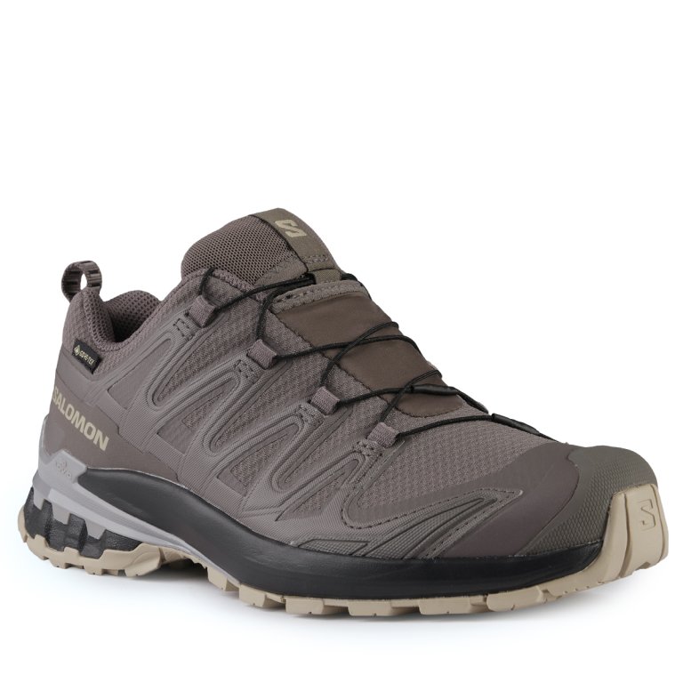Кросівки Salomon Xa Pro 3D V9 GTX W - коричневий / чорний