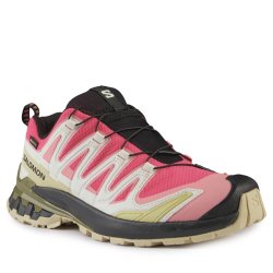 Кросівки Salomon Xa Pro 3D V9 GTX W - червоно/бежеві