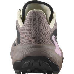 Кросівки Salomon Genesis W - коричневі