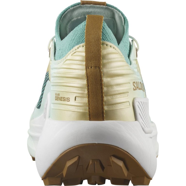 Кросівки Salomon S/LAB Genesis Ltd Courtney V2 - синьо/білі