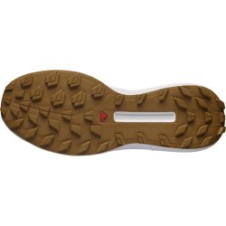 Кросівки Salomon S/LAB Genesis Ltd Courtney V2 - синьо/білі