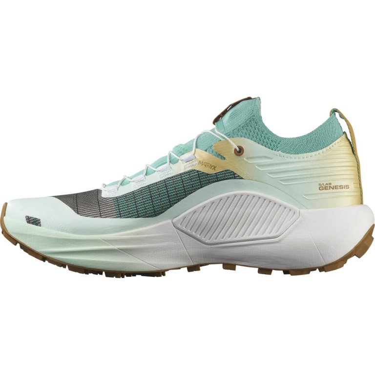Кросівки Salomon S/LAB Genesis Ltd Courtney V2 - синьо/білі