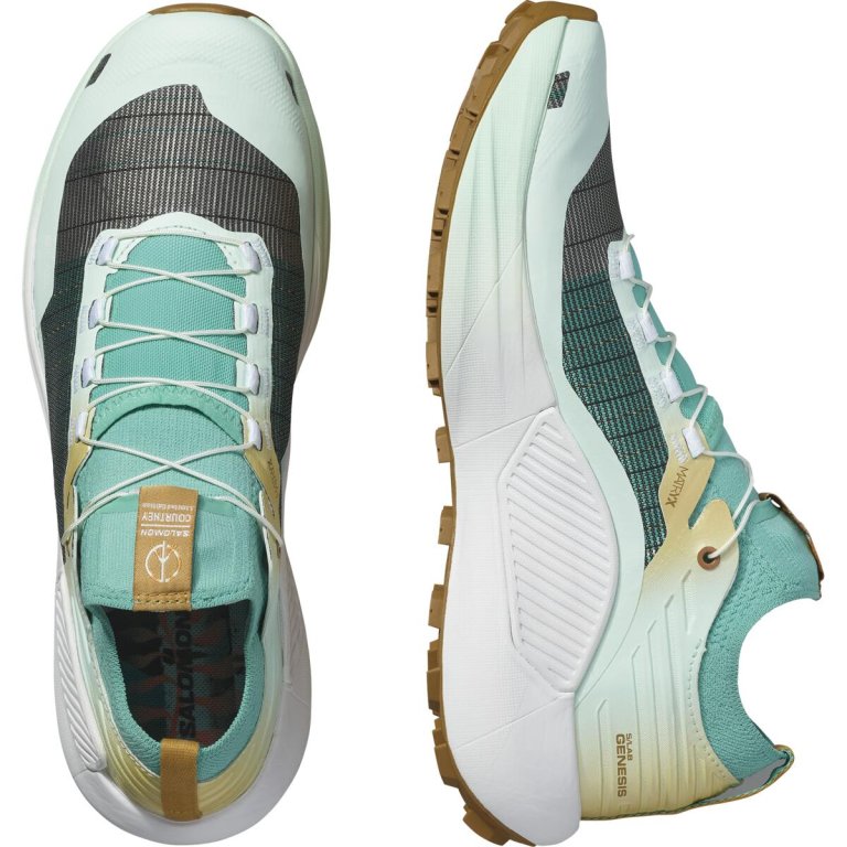 Кросівки Salomon S/LAB Genesis Ltd Courtney V2 - синьо/білі