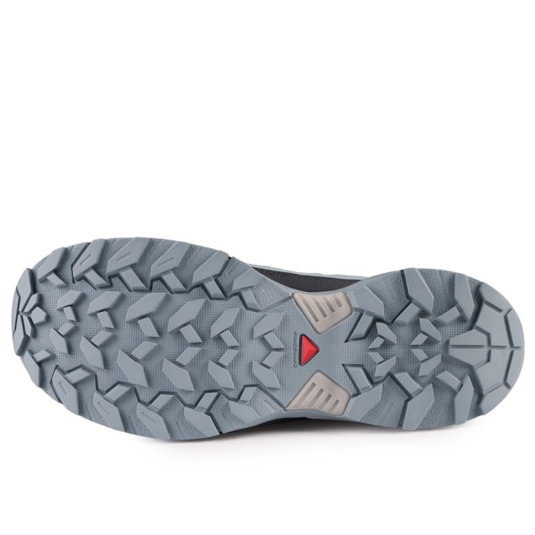 Взуття Salomon X Ultra 360 GTX W - сірий/синій