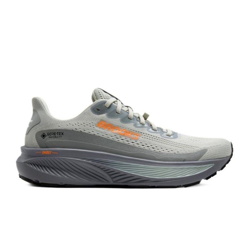 Кросівки Brooks Ghost 17 GTX M - сірі