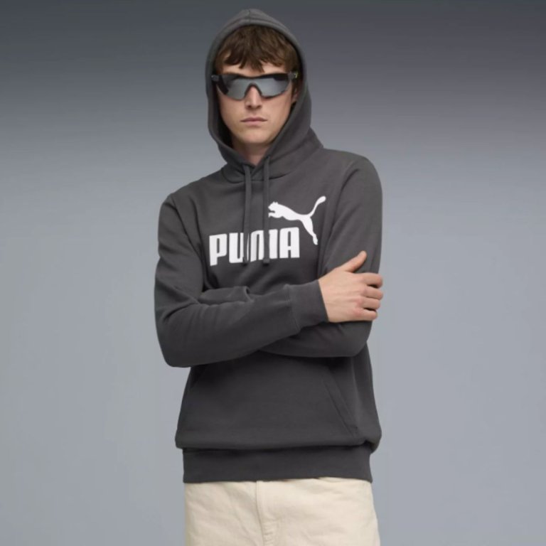 Худі Puma Ess No. 1 Logo Hoodie FL M - сіре