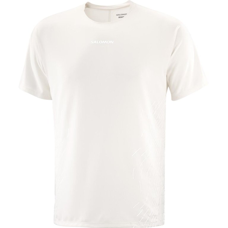 Футболка Salomon Sense Aero SS Tee GFX M - біла