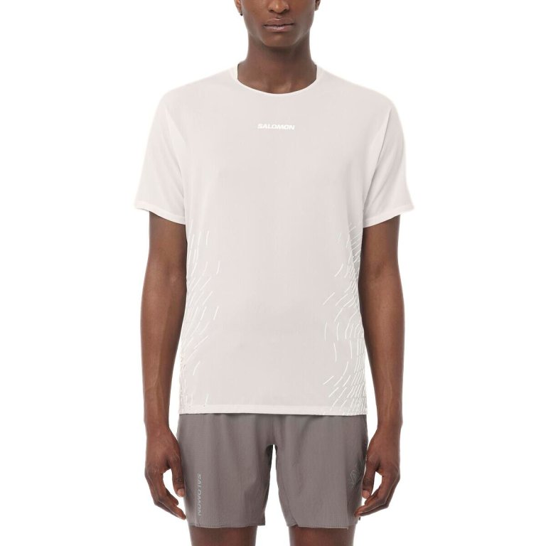 Футболка Salomon Sense Aero SS Tee GFX M - біла
