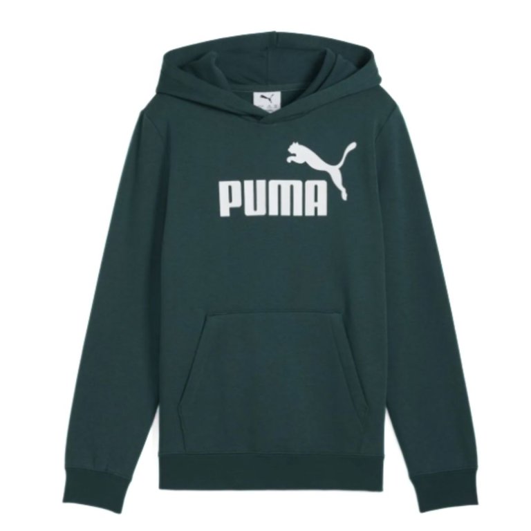 Худі Puma Ess No. 1 Logo Hoodie FL J - зелене