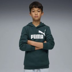 Худі Puma Ess No. 1 Logo Hoodie FL J - зелене