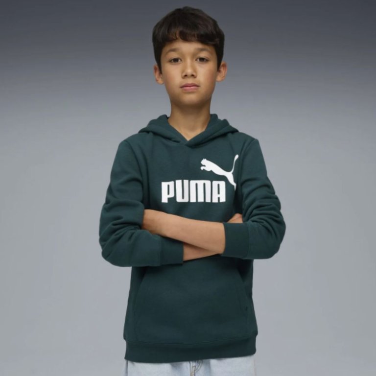 Худі Puma Ess No. 1 Logo Hoodie FL J - зелене