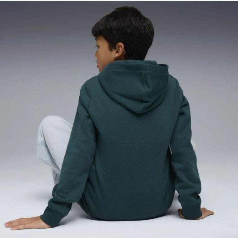 Худі Puma Ess No. 1 Logo Hoodie FL J - зелене