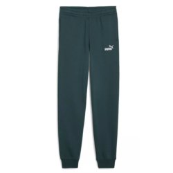 Штани Puma Ess No. 1 Logo Sweatpants FL J - зелені