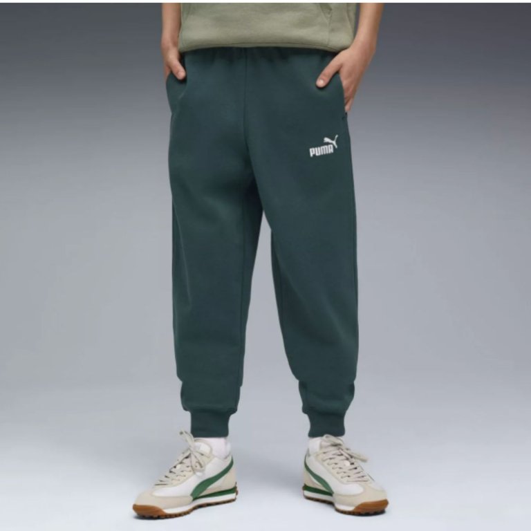 Штани Puma Ess No. 1 Logo Sweatpants FL J - зелені