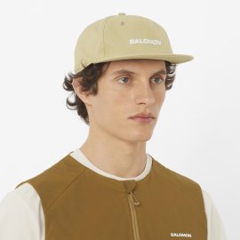 LC2683100_0_MOD_logoflatcap_greygreen_activewear_um.png.cq5dam.web.1200.1200