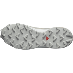 Кросівки Salomon Cross Evr W - сірі