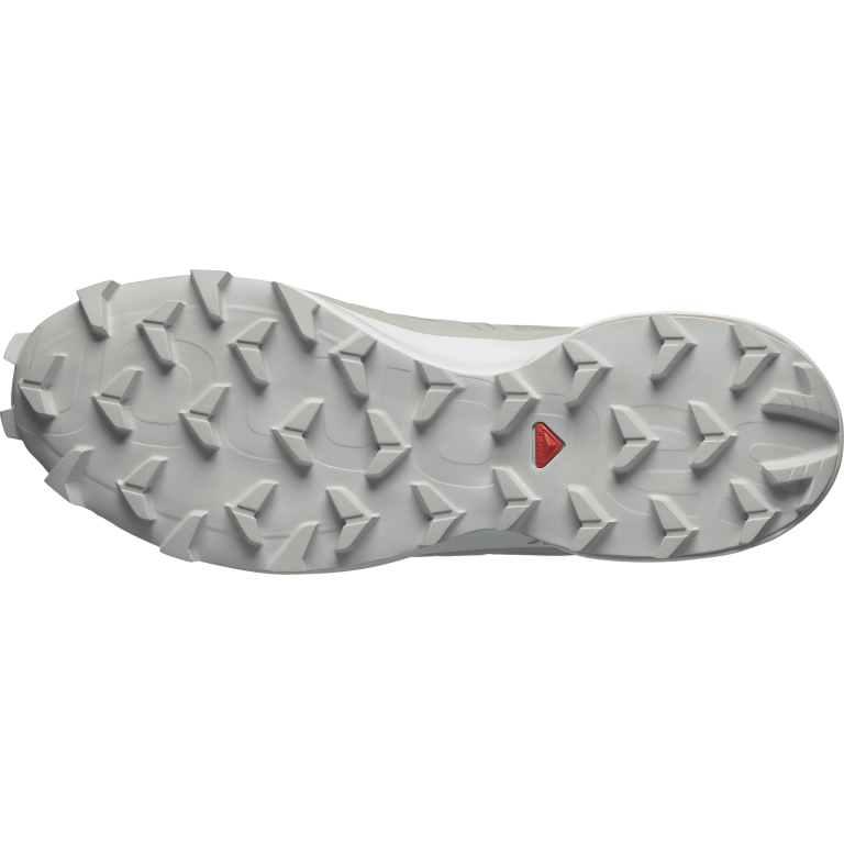 Кросівки Salomon Cross Evr W - сірі