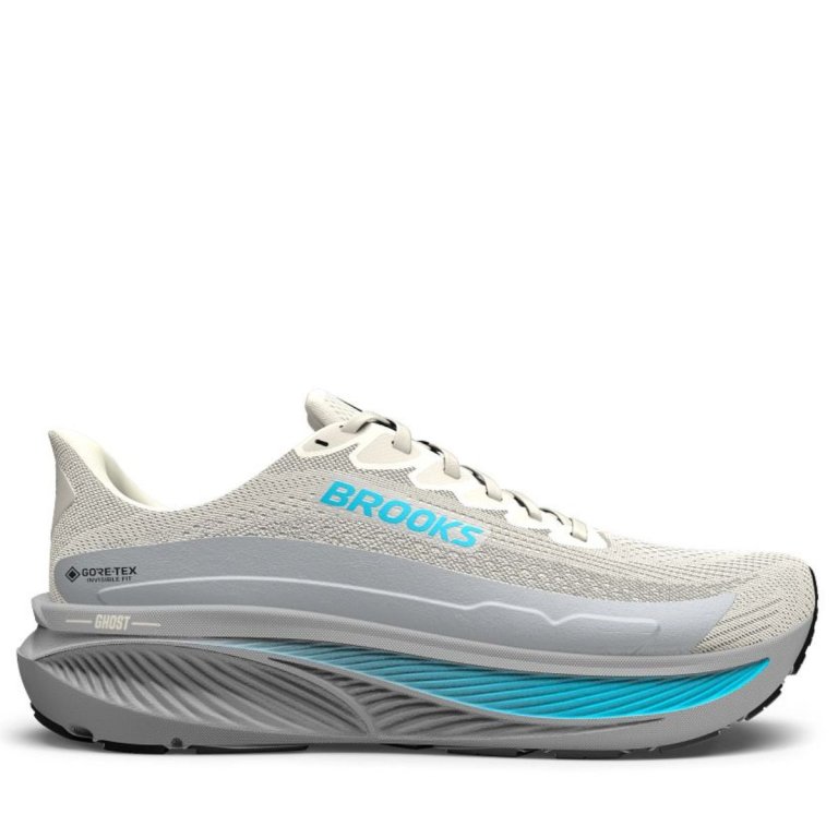 Кросівки Brooks Ghost 17 GTX W - біло/сині