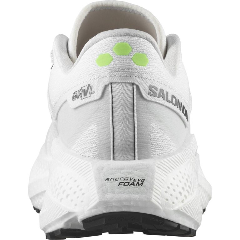 Кросівки Salomon Aero Glide 3 Grvl W - біло/срібні