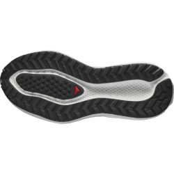 Кросівки Salomon Aero Glide 3 Grvl W - біло/срібні