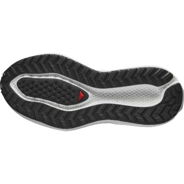 Кросівки Salomon Aero Glide 3 Grvl W - біло/срібні