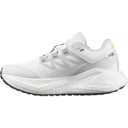 Кросівки Salomon Aero Glide 3 Grvl W - біло/срібні