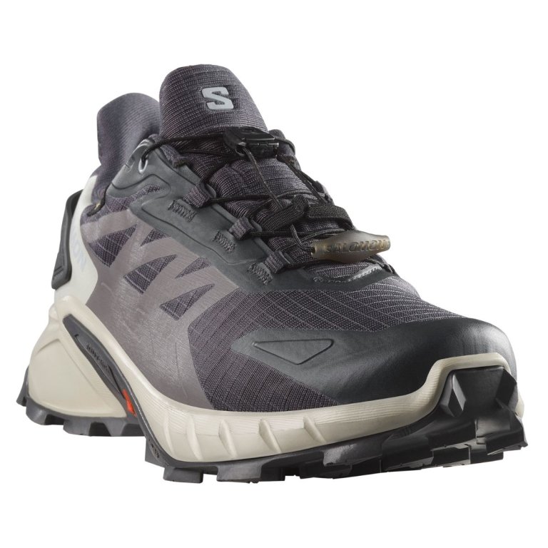 Кросівки Salomon Supercross 4 GTX W - сіро/білі