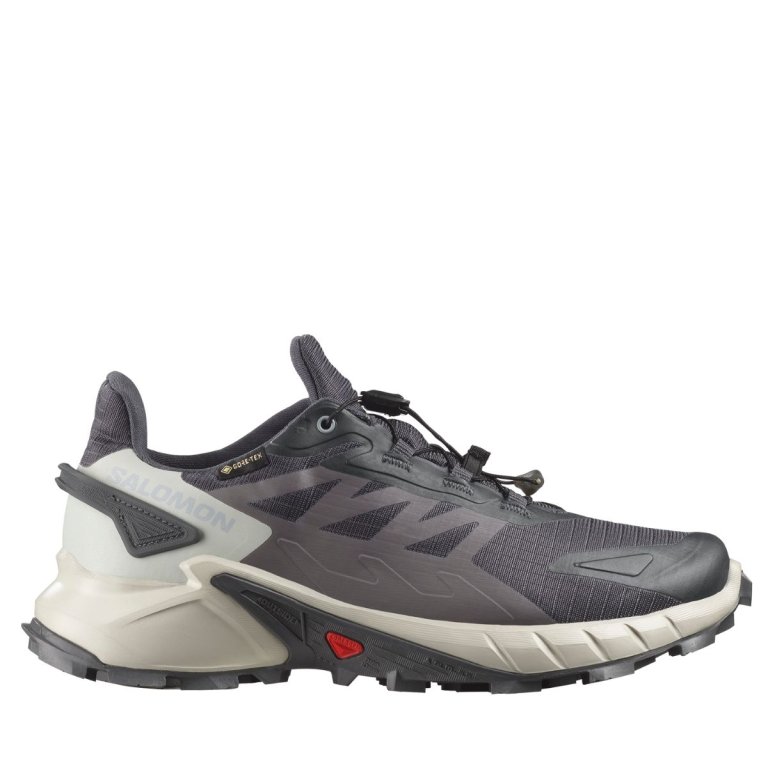 Кросівки Salomon Supercross 4 GTX W - сіро/білі