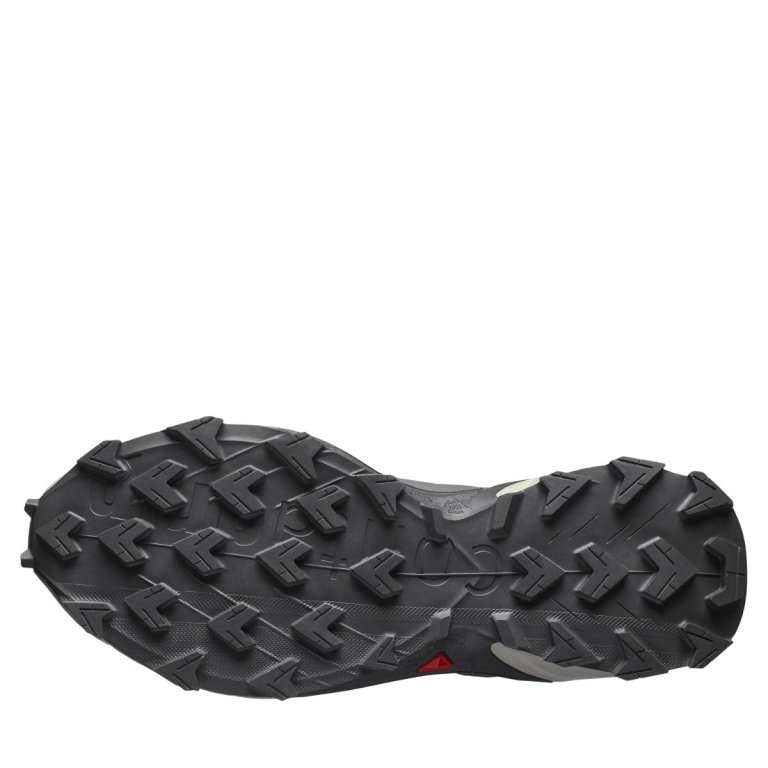 Кросівки Salomon Supercross 4 GTX W - сіро/білі