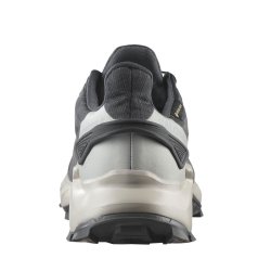 Кросівки Salomon Supercross 4 GTX W - сіро/білі