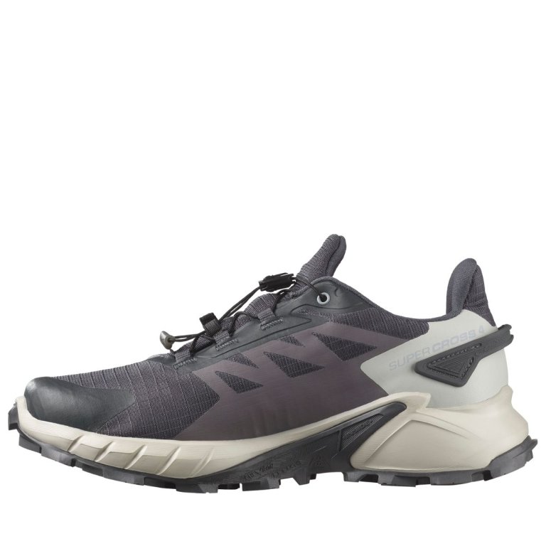 Кросівки Salomon Supercross 4 GTX W - сіро/білі
