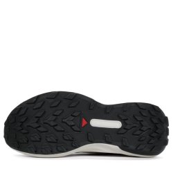 Кросівки Salomon Genesis W - біло/зелені