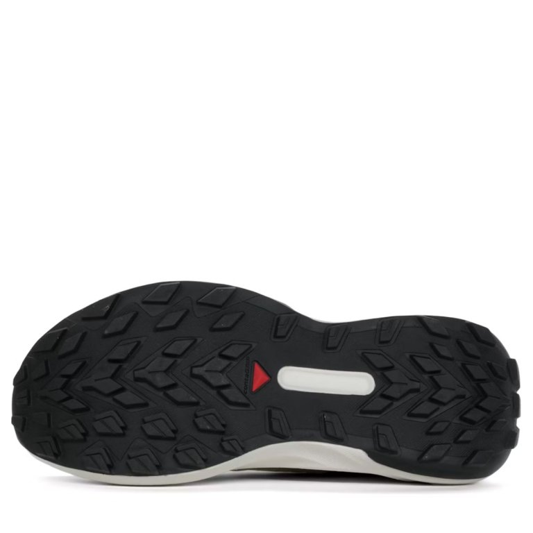 Кросівки Salomon Genesis W - біло/зелені
