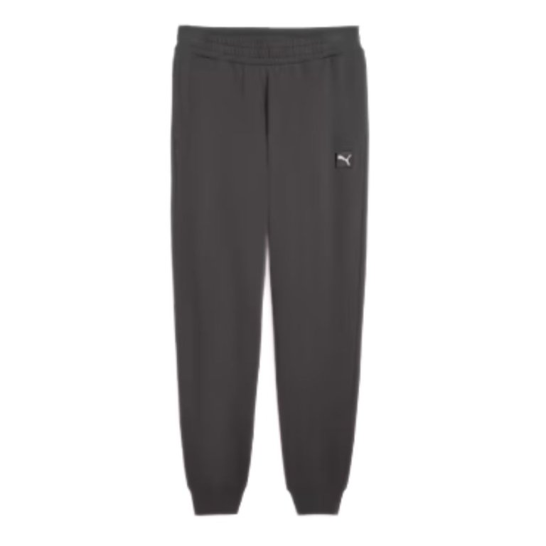 Штани Puma Ess Elevated Pants FL CL M - сірі