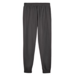 Штани Puma Ess Elevated Pants FL CL M - сірі