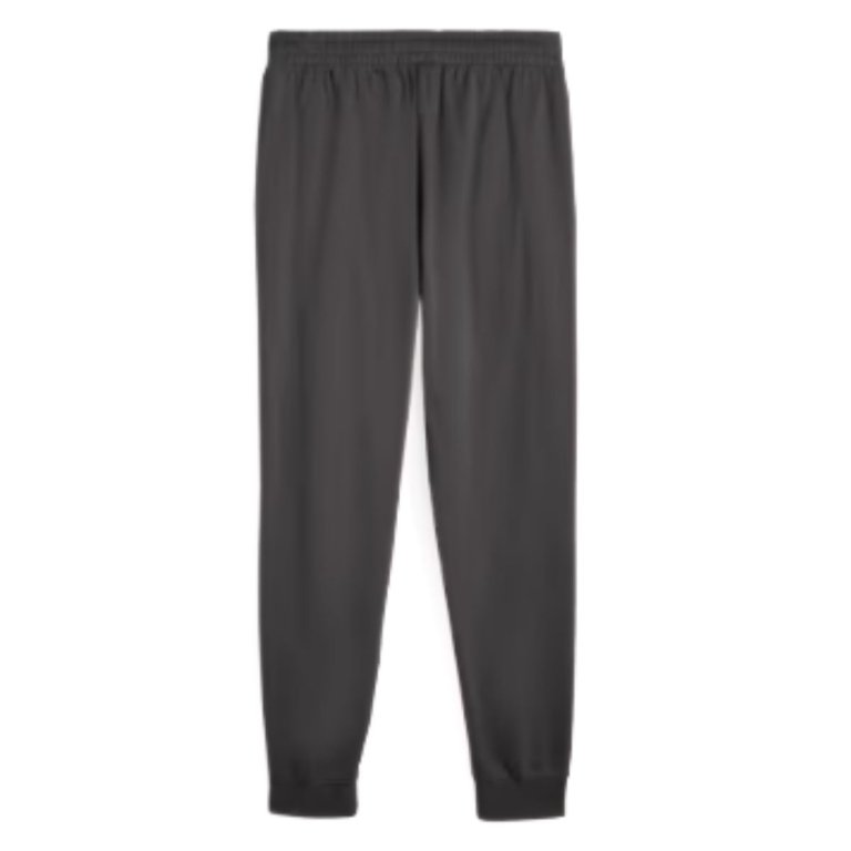 Штани Puma Ess Elevated Pants FL CL M - сірі