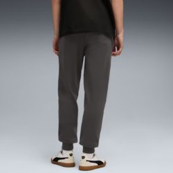 Штани Puma Ess Elevated Pants FL CL M - сірі