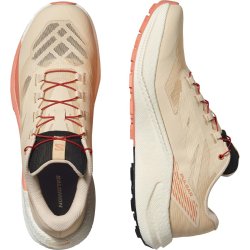 Кросівки Salomon Pulsar W - бежово/рожеві