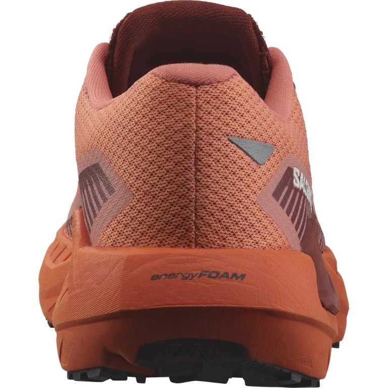 Кросівки Salomon Drx Defy Grvl W - помаранчеві