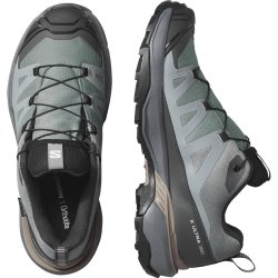 Взуття Salomon X Ultra 360 GTX W - сіро/чорне