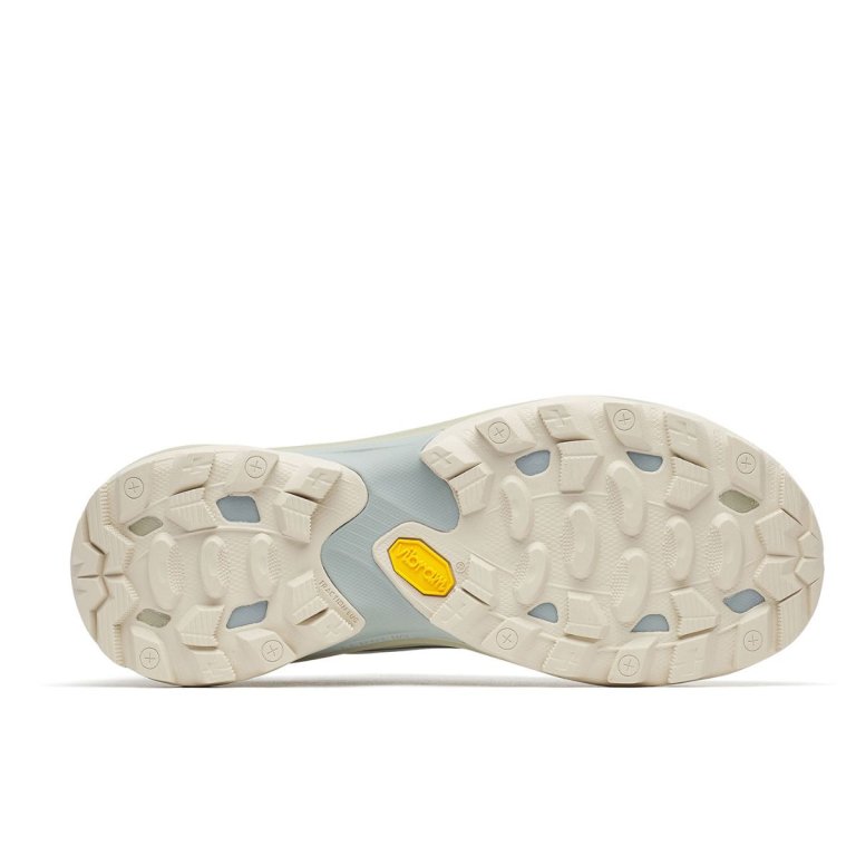Взуття Merrell J038812 Moab Speed 2 GTX W - синє