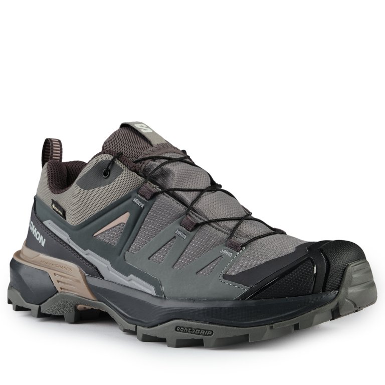 Взуття Salomon X Ultra 360 GTX W - сіро/чорне