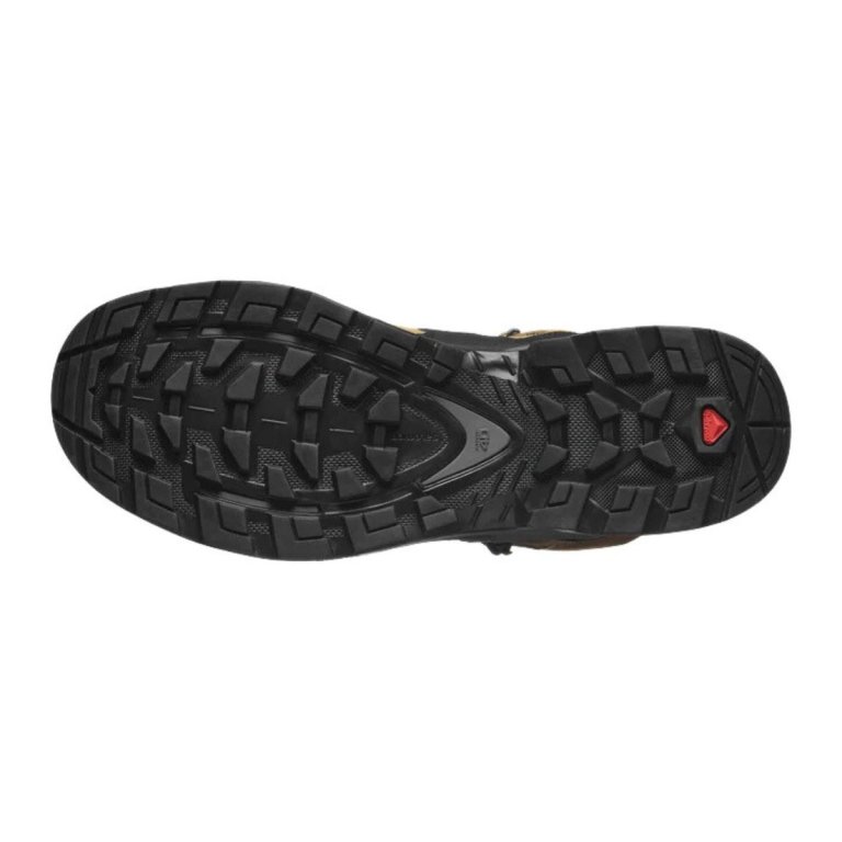 Черевики Salomon Quest 4 GTX M - коричнево/чорні
