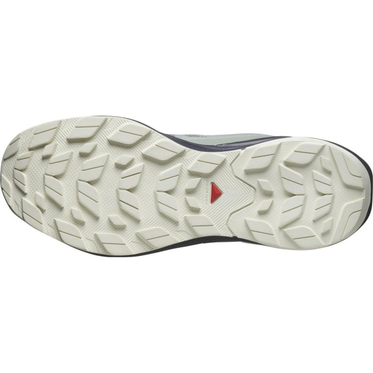 Черевики Salomon Elixir Activ GTX M - сіро/зелені