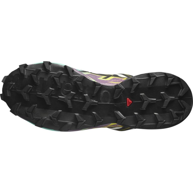 Кросівки Salomon Speedcross 6 GTX W - чорно/зелені
